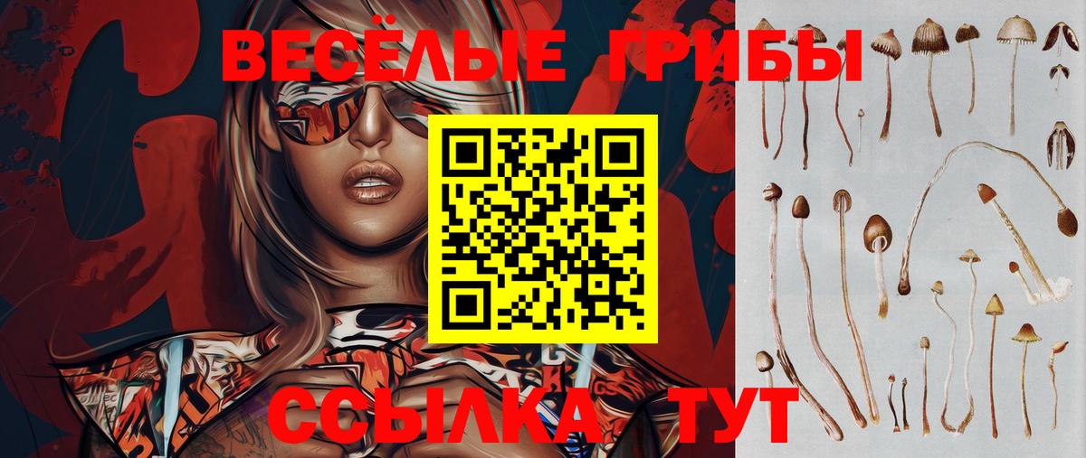 Галлюциногенные грибы ЛСД  Вход с VPN  Псилоцибиновые грибы Cubensis  Отрадное 